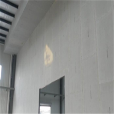 乐安宁波ALC板|EPS加气板隔墙与混凝土整浇联接的实验研讨
